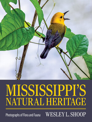 cover image of Mississippi's Natural Heritage